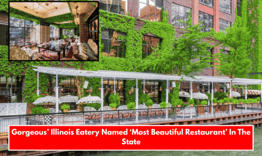 Charming Illinois Spot Named ‘Most Underrated Town’ In The Entire State