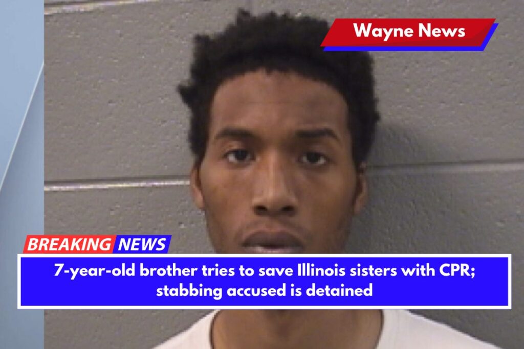 7-year-old brother tries to save Illinois sisters with CPR; stabbing accused is detained