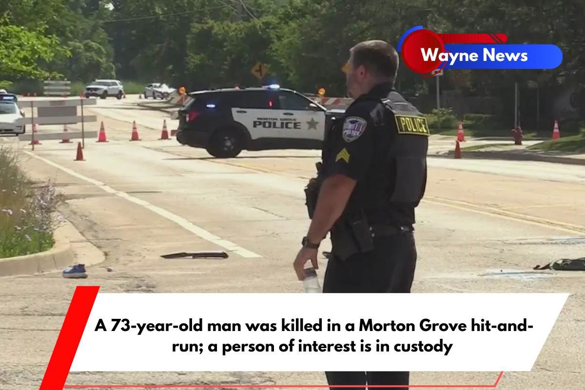 A 73-year-old man was killed in a Morton Grove hit-and-run; a person of interest is in custody