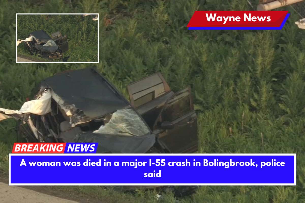 A woman was died in a major I-55 crash in Bolingbrook, police said