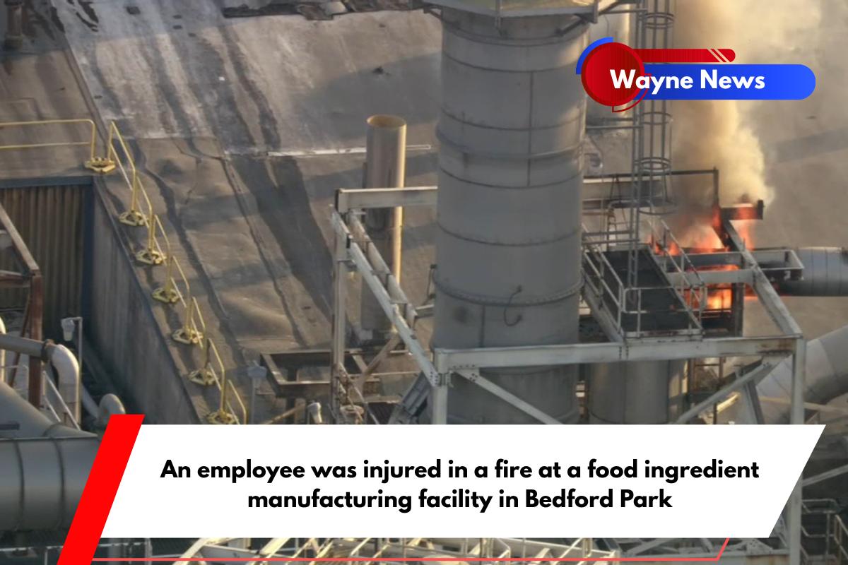 An employee was injured in a fire at a food ingredient manufacturing facility in Bedford Park