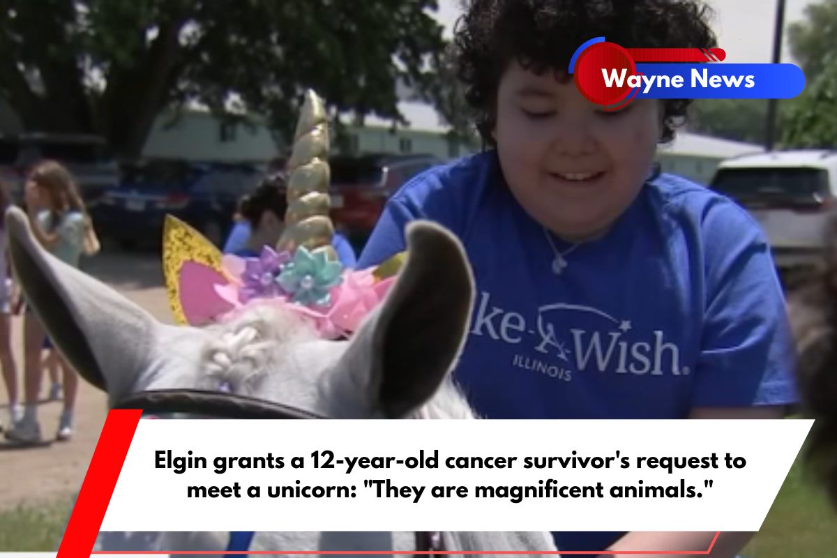 Elgin grants a 12-year-old cancer survivor's request to meet a unicorn They are magnificent animals.