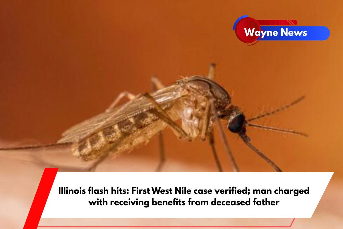 Illinois flash hits First West Nile case verified; man charged with receiving benefits from deceased father