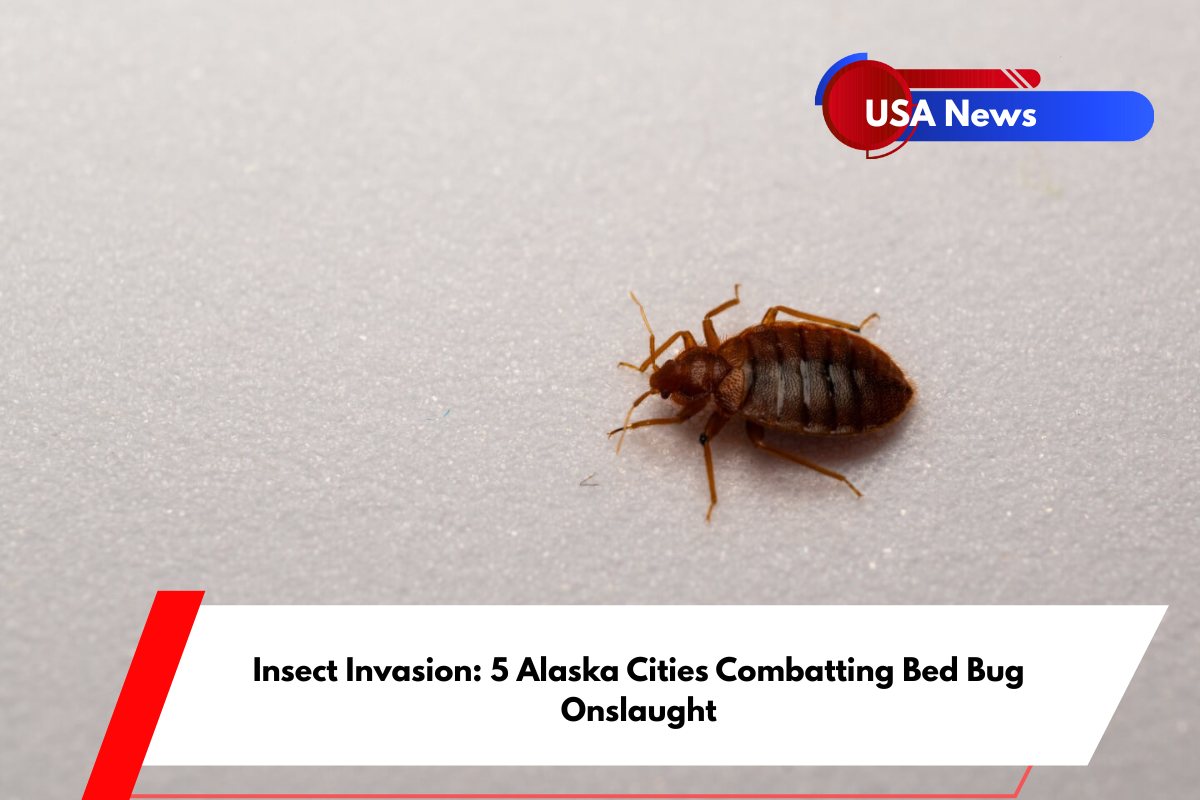 Insect Invasion 5 Alaska Cities Combatting Bed Bug Onslaught