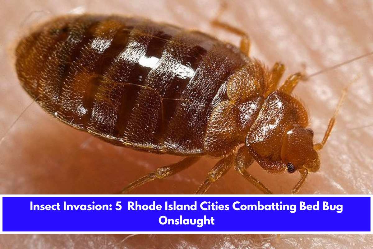 Insect Invasion 5 Rhode Island Cities Combatting Bed Bug Onslaught
