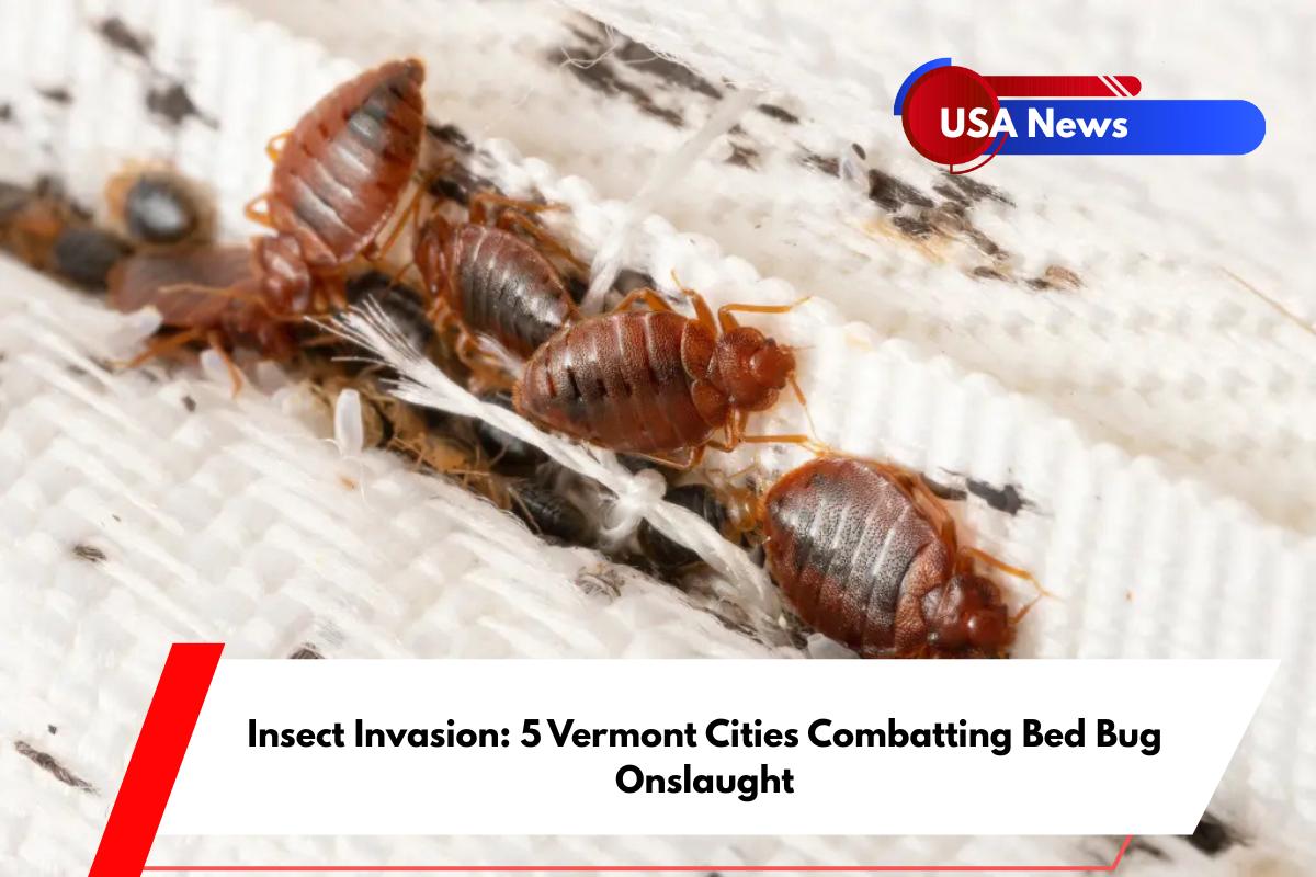 Insect Invasion 5 Vermont Cities Combatting Bed Bug Onslaught