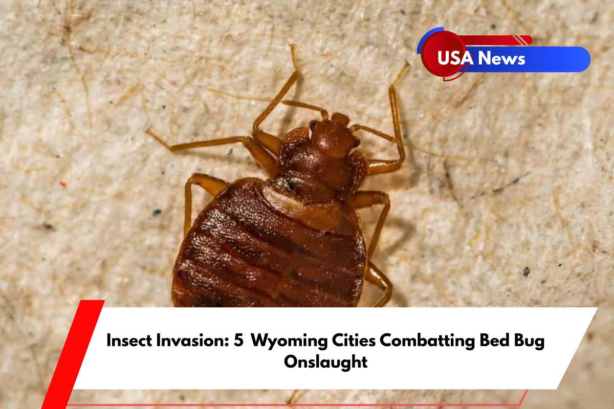 Insect Invasion 5 Wyoming Cities Combatting Bed Bug Onslaught