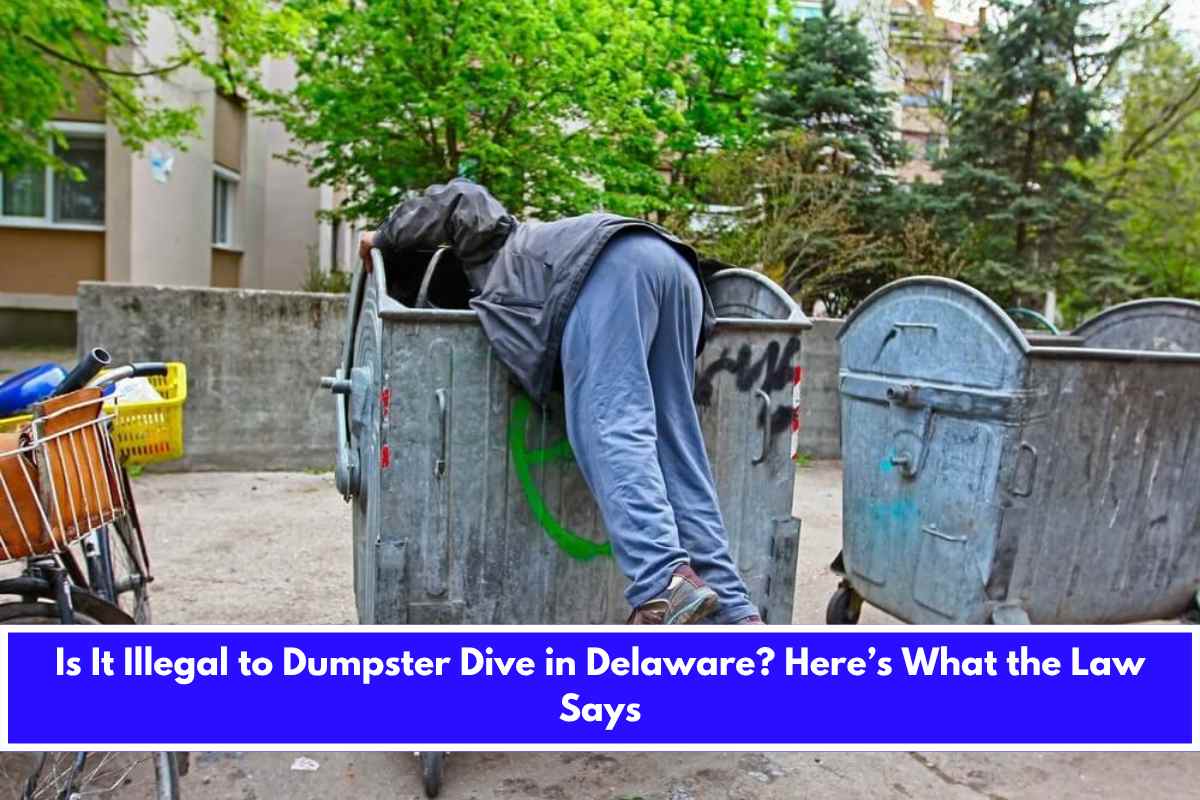 Is It Illegal to Dumpster Dive in Delaware Here’s What the Law Says