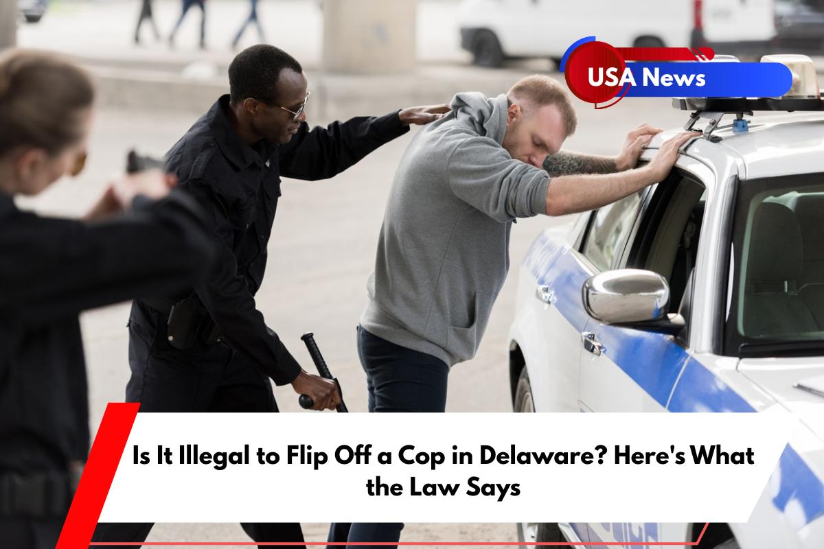 Is It Illegal to Flip Off a Cop in Delaware Here's What the Law Says