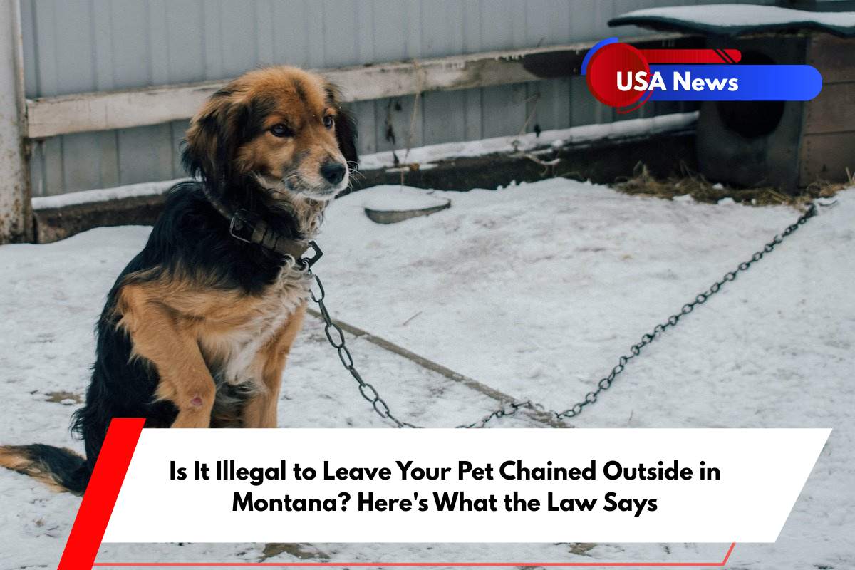 Is It Illegal to Leave Your Pet Chained Outside in Montana Here's What the Law Says