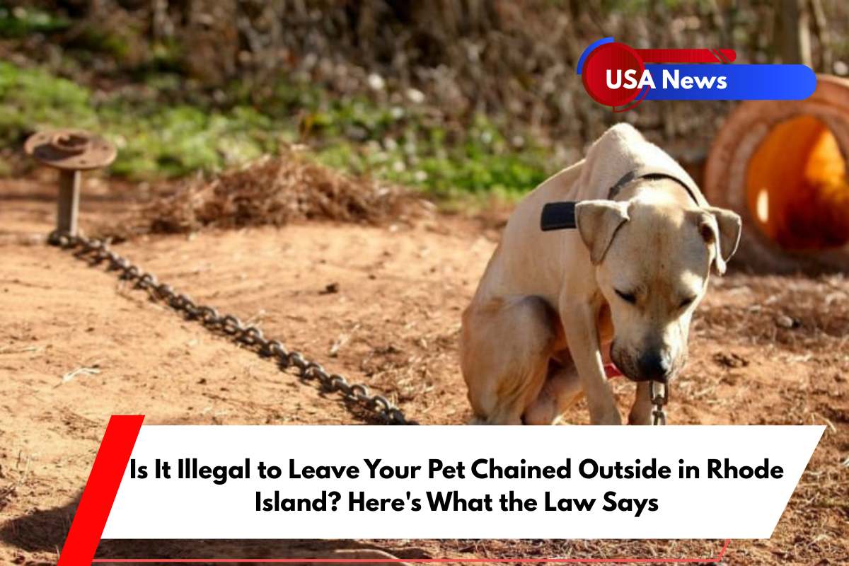 Is It Illegal to Leave Your Pet Chained Outside in Rhode Island Here's What the Law Says