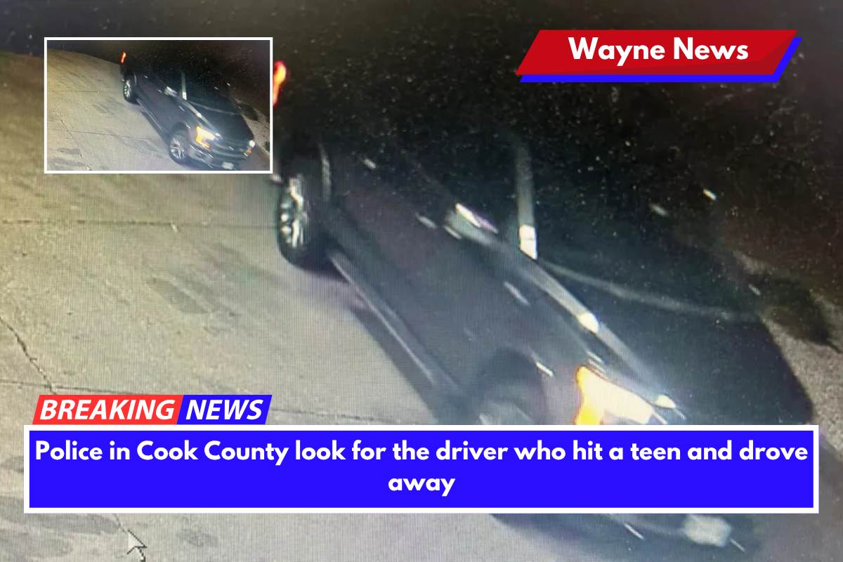Police in Cook County look for the driver who hit a teen and drove away