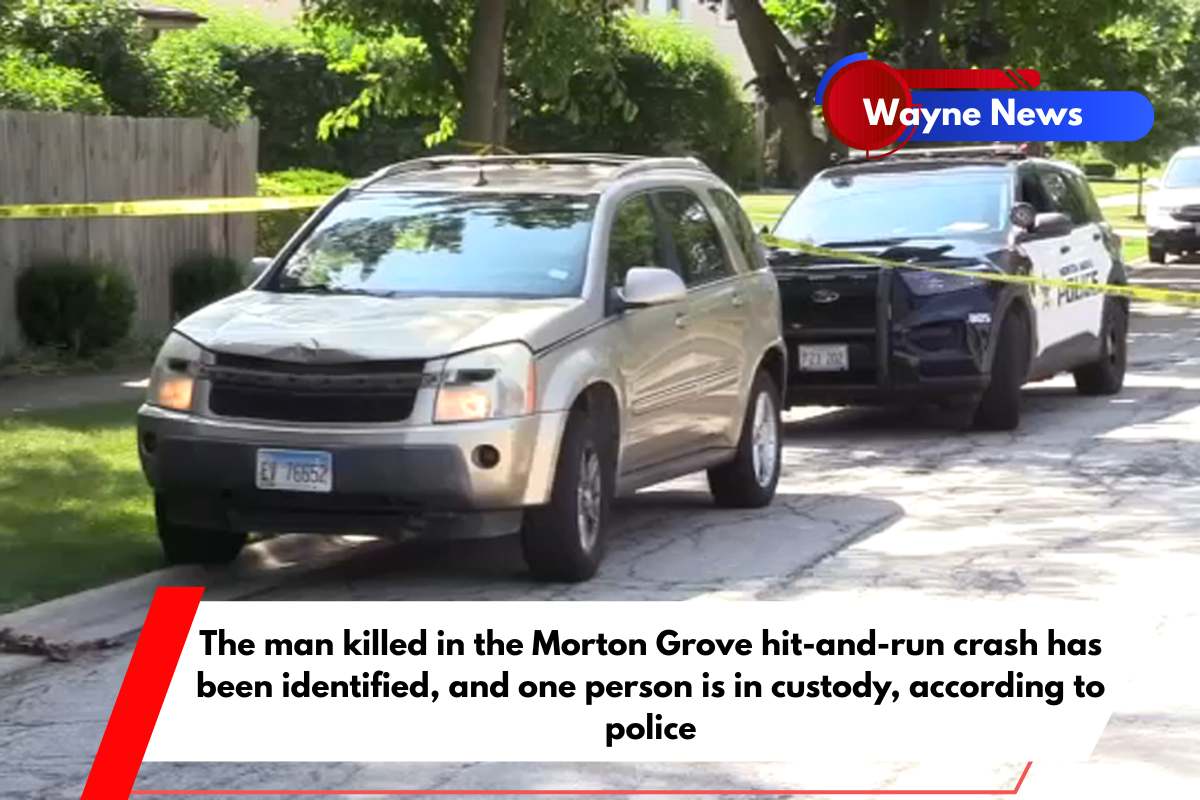 The man killed in the Morton Grove hit-and-run crash has been identified, and one person is in custody, according to police