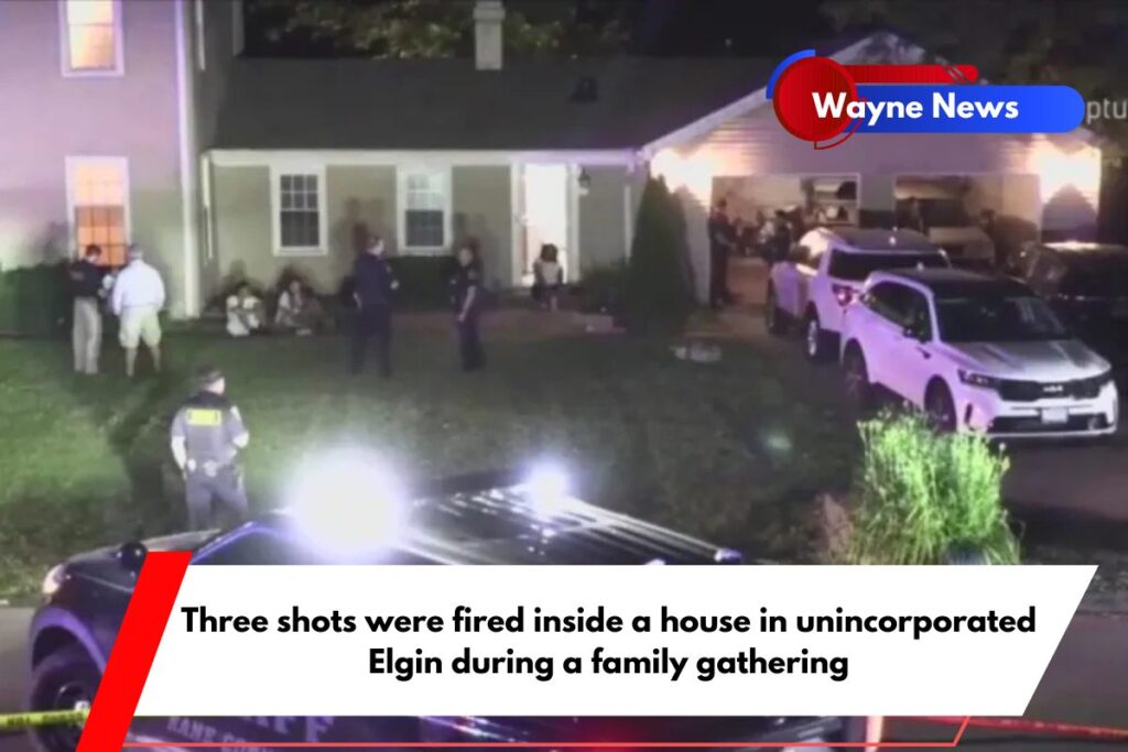 Three shots were fired inside a house in unincorporated Elgin during a family gathering