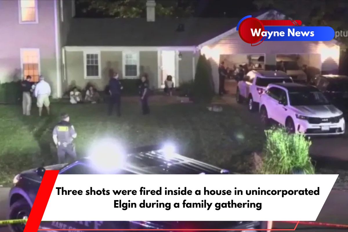 Three shots were fired inside a house in unincorporated Elgin during a family gathering