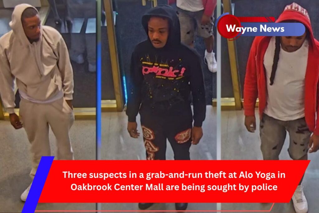 Three suspects in a grab-and-run theft at Alo Yoga in Oakbrook Center Mall are being sought by police