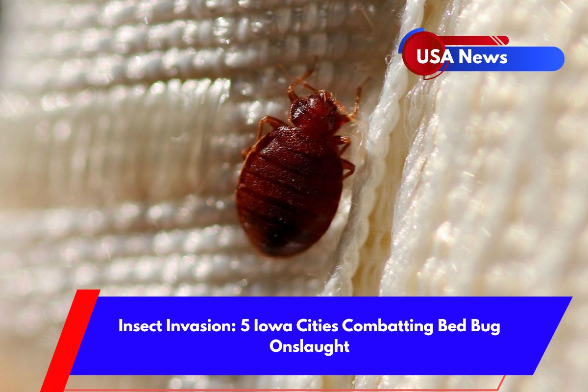 Insect Invasion 5 Iowa Cities Combatting Bed Bug Onslaught