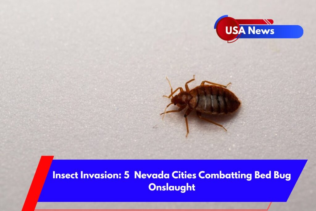 Insect Invasion 5 Nevada Cities Combatting Bed Bug Onslaught