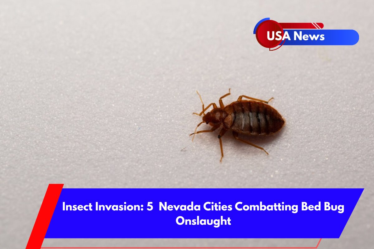 Insect Invasion 5 Nevada Cities Combatting Bed Bug Onslaught
