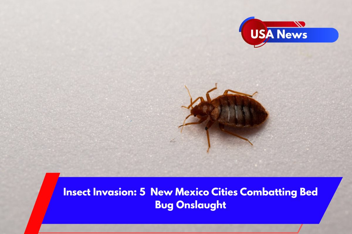 Insect Invasion 5 New Mexico Cities Combatting Bed Bug Onslaught