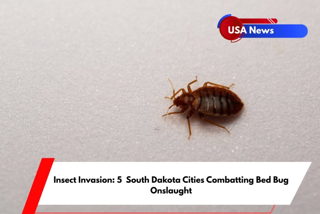 Insect Invasion 5 South Dakota Cities Combatting Bed Bug Onslaught