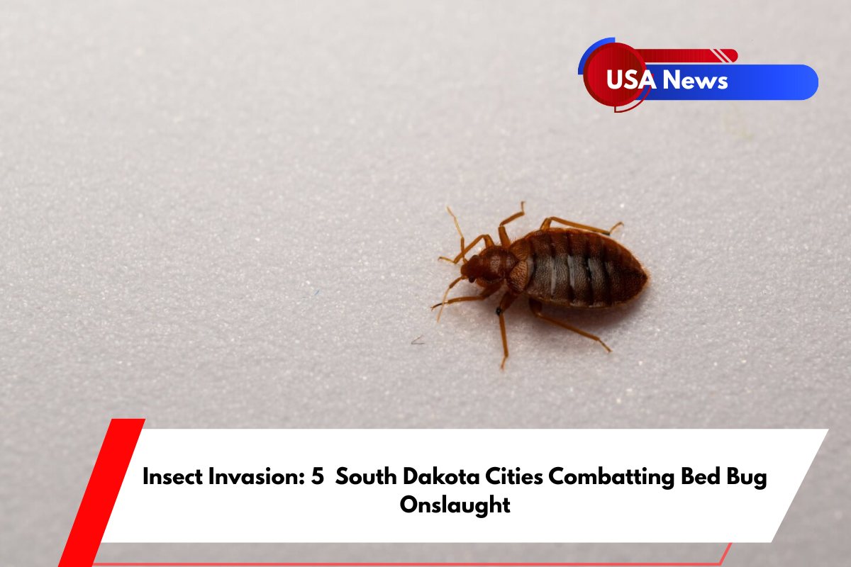 Insect Invasion 5 South Dakota Cities Combatting Bed Bug Onslaught