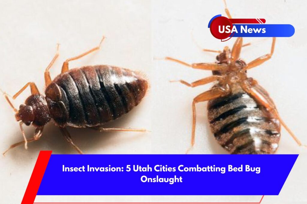 Insect Invasion 5 Utah Cities Combatting Bed Bug Onslaught