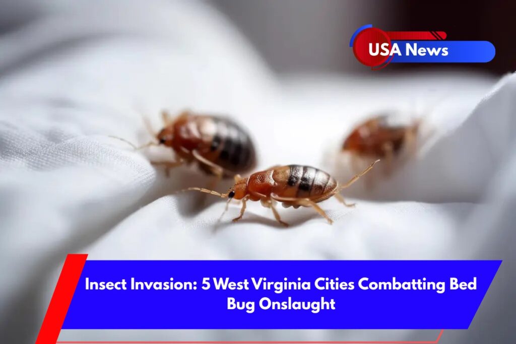 Insect Invasion 5 West Virginia Cities Combatting Bed Bug Onslaught