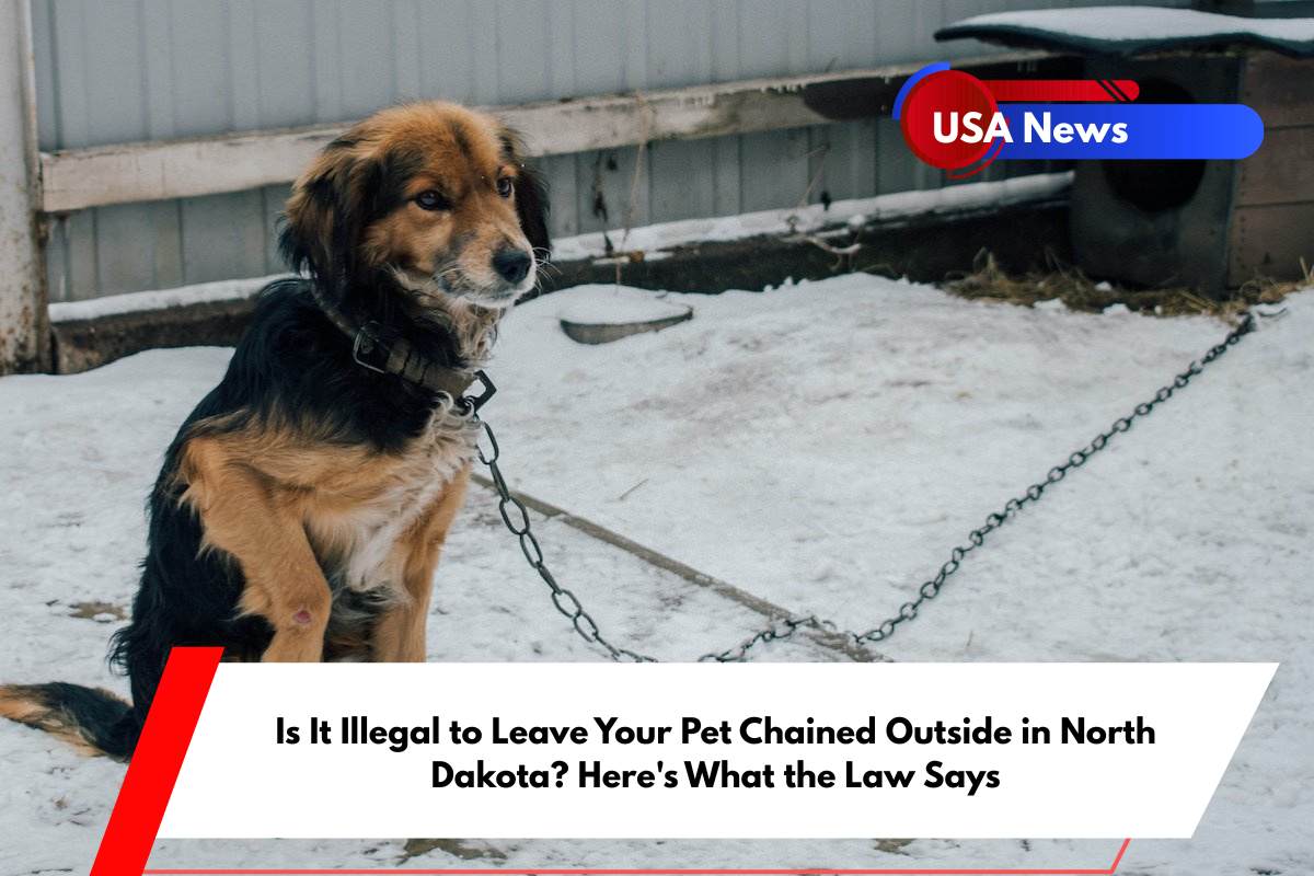Is It Illegal to Leave Your Pet Chained Outside in North Dakota Here's What the Law Says
