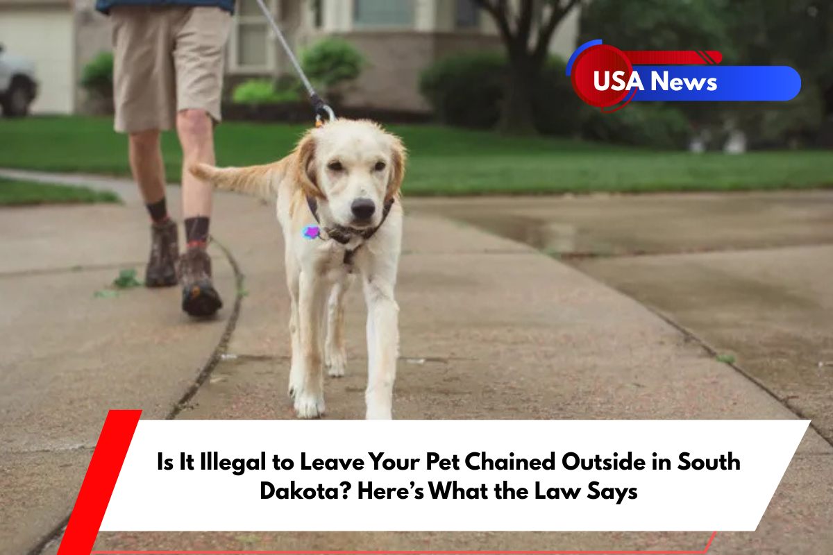 Is It Illegal to Leave Your Pet Chained Outside in South Dakota Here's What the Law Says