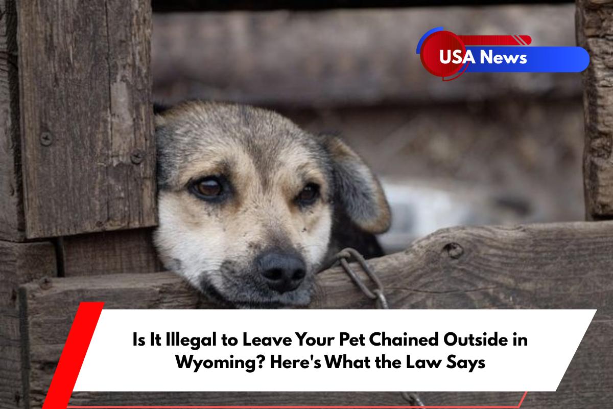 Is It Illegal to Leave Your Pet Chained Outside in Wyoming Here's What the Law Says