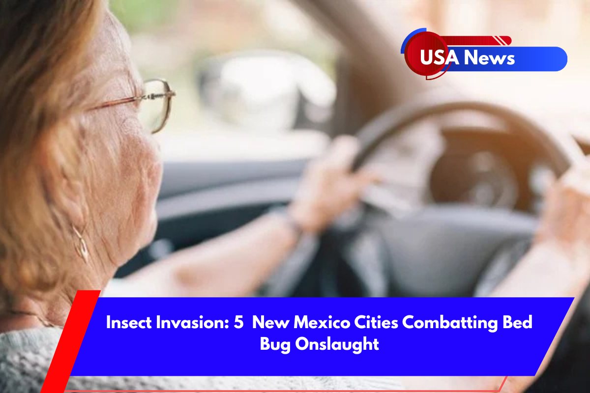License Renewal for Seniors in Idaho What You Need to Know