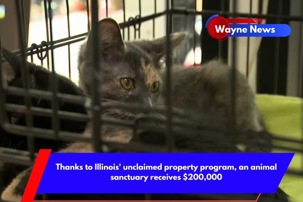 Thanks to Illinois' unclaimed property program, an animal sanctuary receives $200,000