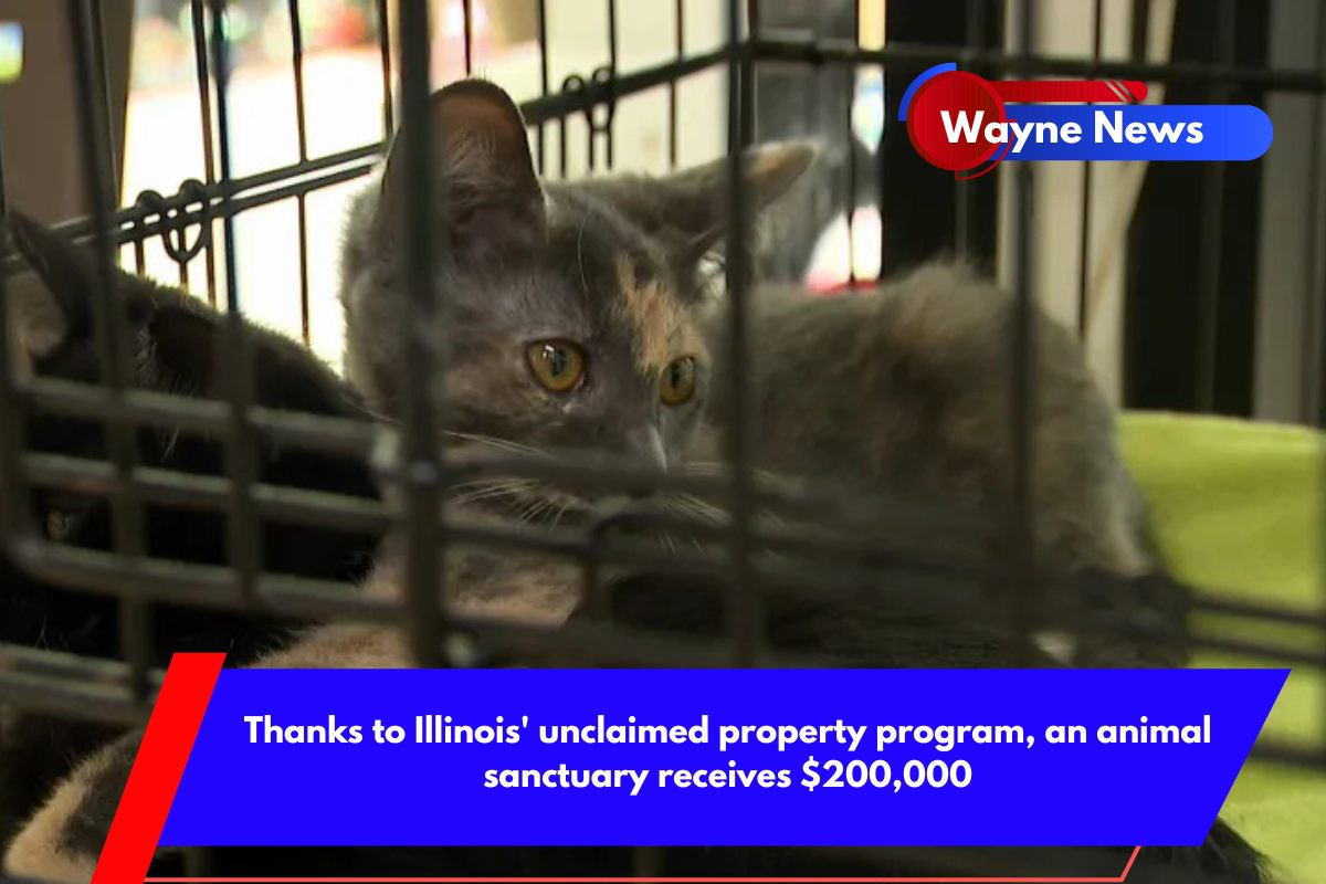 Thanks to Illinois' unclaimed property program, an animal sanctuary receives $200,000